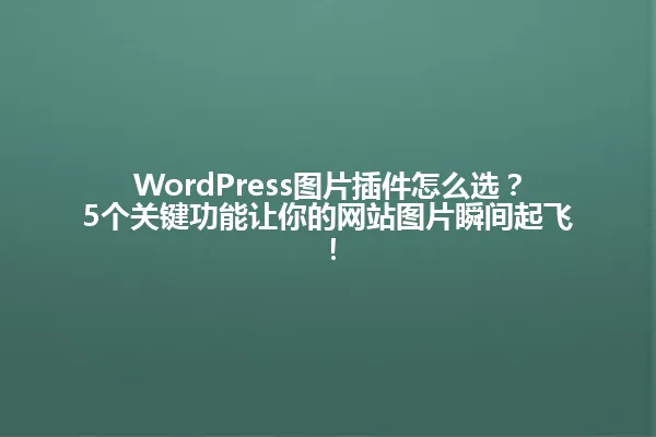 WordPress图片插件怎么选?5个关键功能让你的网站图片瞬间起飞! 一