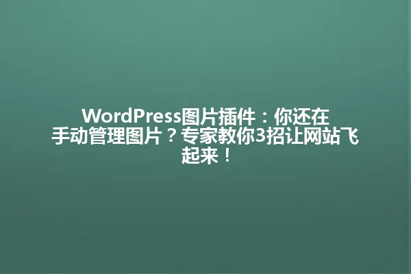 WordPress图片插件:你还在手动管理图片?专家教你3招让网站飞起来! 一