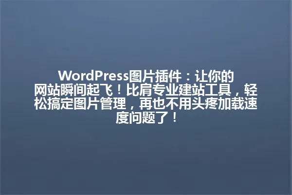 WordPress图片插件:让你的网站瞬间起飞!比肩专业建站工具,轻松搞定图片管理,再也不用头疼加载速度问题了! 一
