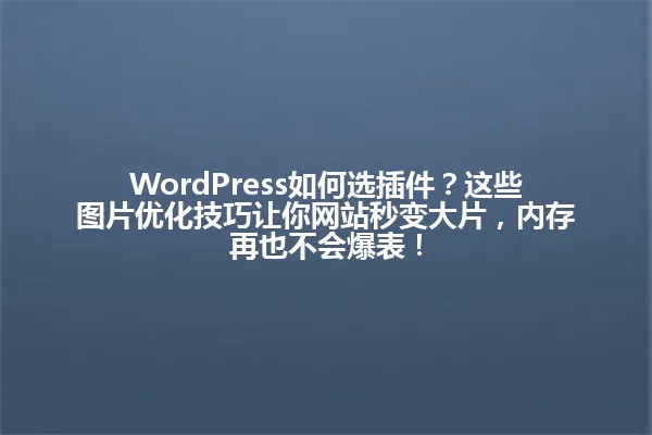 WordPress如何选插件?这些图片优化技巧让你网站秒变大片,内存再也不会爆表! 一