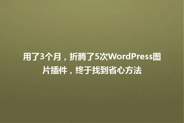 用了3个月,折腾了5次WordPress图片插件,终于找到省心方法 一