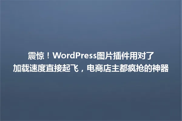 震惊!WordPress图片插件用对了加载速度直接起飞,电商店主都疯抢的神器 一