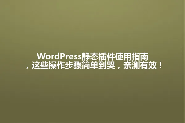 WordPress静态插件使用指南,这些操作步骤简单到哭,亲测有效! 一