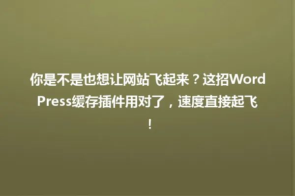 你是不是也想让网站飞起来?这招WordPress缓存插件用对了,速度直接起飞! 一