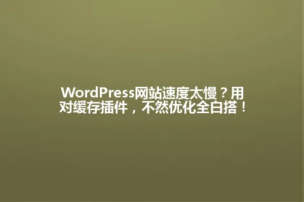 WordPress网站速度太慢?用对缓存插件,不然优化全白搭! 一
