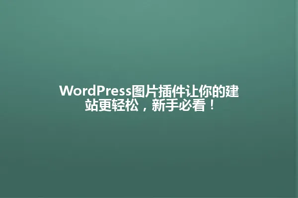 WordPress图片插件让你的建站更轻松,新手必看! 一