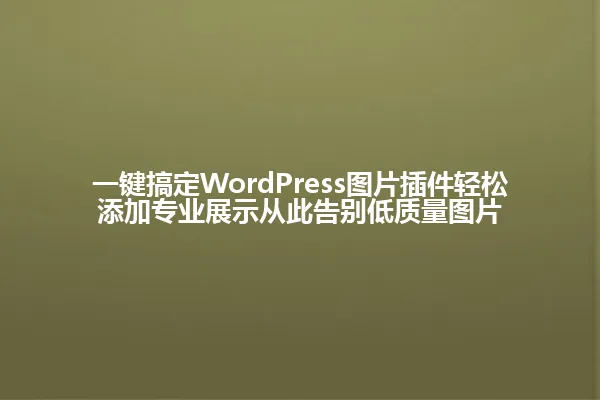一键搞定WordPress图片插件轻松添加专业展示从此告别低质量图片 一