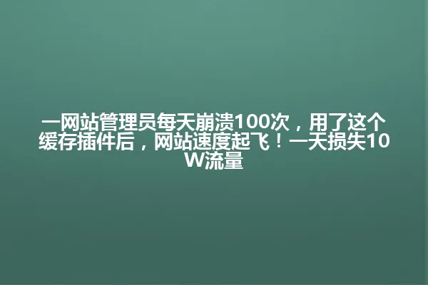 一网站管理员每天崩溃100次,用了这个缓存插件后,网站速度起飞!一天损失10W流量 一