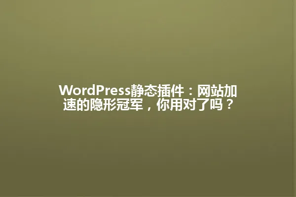WordPress静态插件:网站加速的隐形冠军,你用对了吗? 一