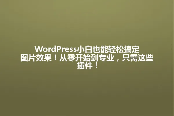 WordPress小白也能轻松搞定图片效果!从零开始到专业,只需这些插件! 一