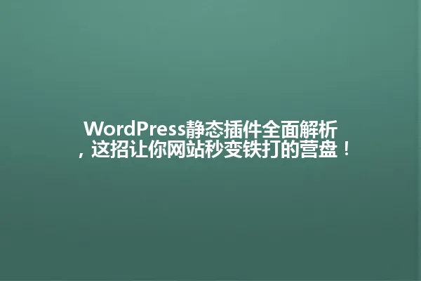 WordPress静态插件全面解析,这招让你网站秒变铁打的营盘! 一