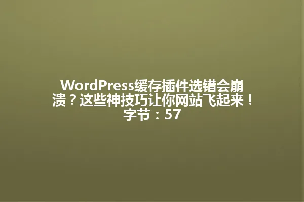 WordPress缓存插件选错会崩溃?这些神技巧让你网站飞起来!
字节:57 一