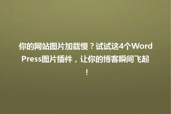 你的网站图片加载慢?试试这4个WordPress图片插件,让你的博客瞬间飞起! 一