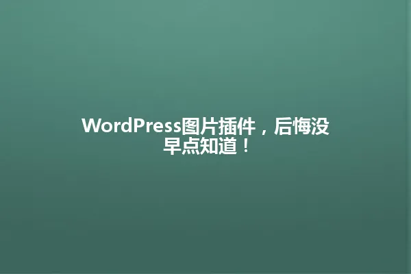 WordPress图片插件,后悔没早点知道! 一