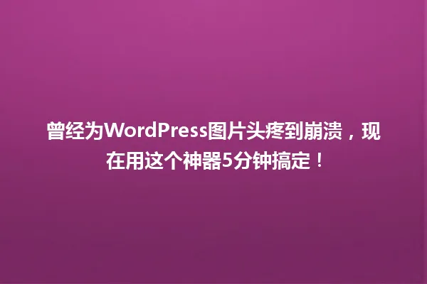 曾经为WordPress图片头疼到崩溃,现在用这个神器5分钟搞定! 一