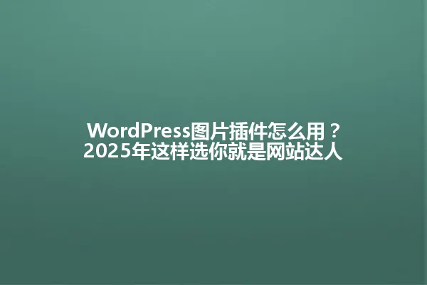 WordPress图片插件怎么用?2025年这样选你就是网站达人 一
