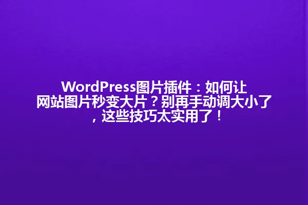 WordPress图片插件:如何让网站图片秒变大片?别再手动调大小了,这些技巧太实用了! 一