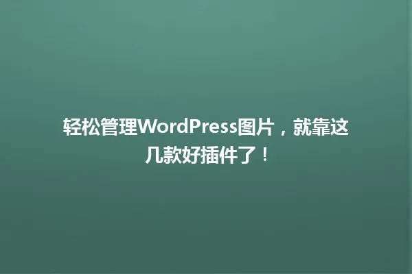轻松管理WordPress图片,就靠这几款好插件了! 一