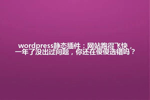 wordpress静态插件:网站跑得飞快,一年了没出过问题,你还在傻傻选错吗? 一