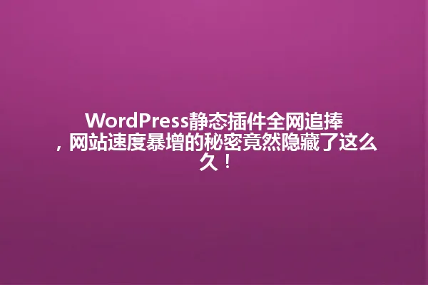 WordPress静态插件全网追捧,网站速度暴增的秘密竟然隐藏了这么久! 一