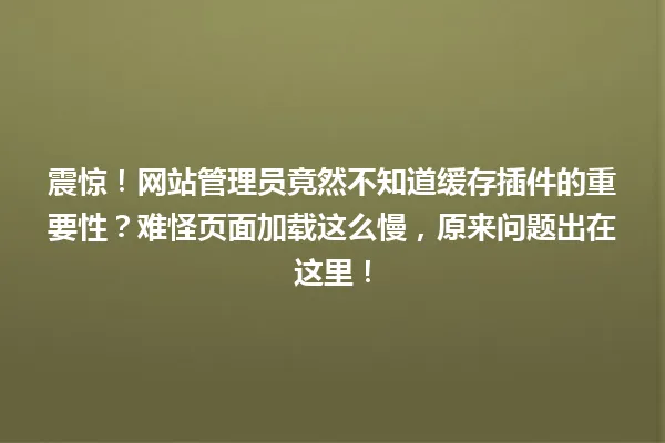 震惊!网站管理员竟然不知道缓存插件的重要性?难怪页面加载这么慢,原来问题出在这里! 一