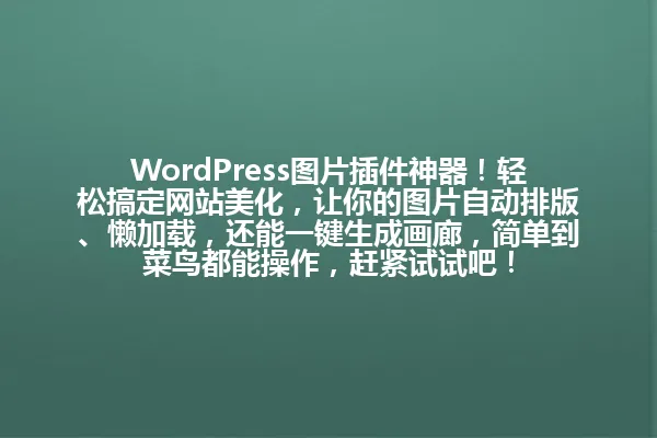 WordPress图片插件神器!轻松搞定网站美化,让你的图片自动排版、懒加载,还能一键生成画廊,简单到菜鸟都能操作,赶紧试试吧! 一