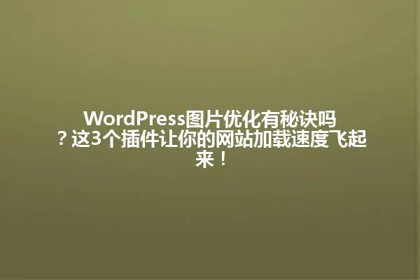 WordPress图片优化有秘诀吗？这3个插件让你的网站加载速度飞起来！ 一