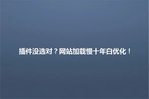 插件没选对?网站加载慢十年白优化! 一