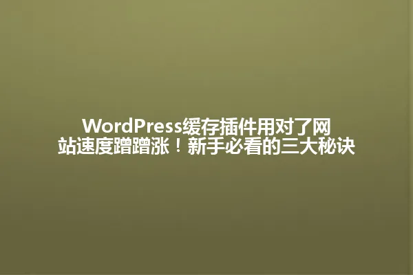 WordPress缓存插件用对了网站速度蹭蹭涨!新手必看的三大秘诀 一