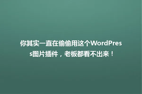 你其实一直在偷偷用这个WordPress图片插件,老板都看不出来! 一