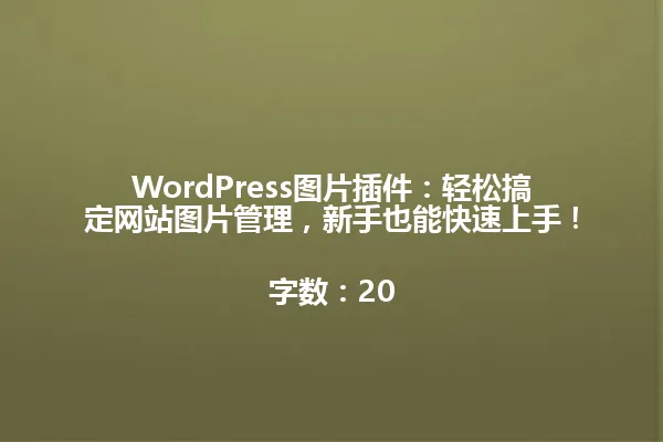 WordPress图片插件:轻松搞定网站图片管理,新手也能快速上手!
字数:20 一