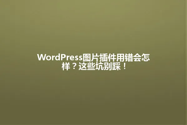WordPress图片插件用错会怎样?这些坑别踩! 一