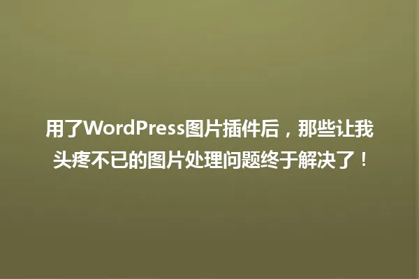用了WordPress图片插件后，那些让我头疼不已的图片处理问题终于解决了！ 一