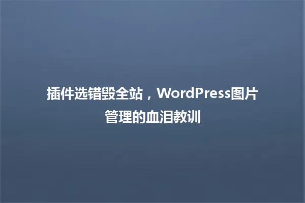 插件选错毁全站,WordPress图片管理的血泪教训 一
