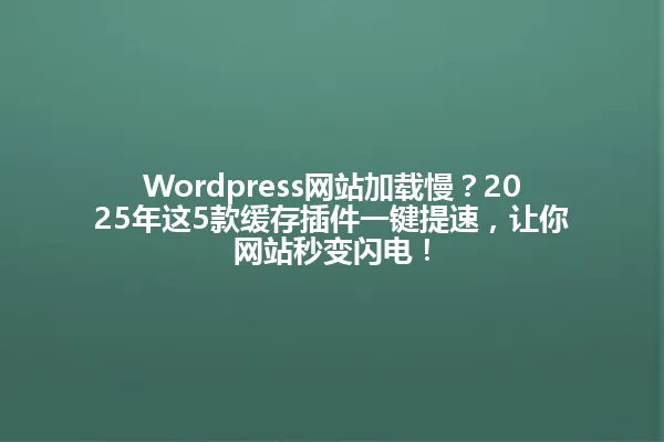 Wordpress网站加载慢？2025年这5款缓存插件一键提速，让你网站秒变闪电！ 一