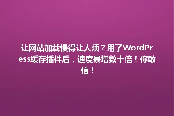 让网站加载慢得让人烦?用了WordPress缓存插件后,速度暴增数十倍!你敢信! 一