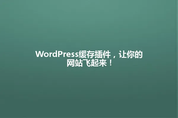 WordPress缓存插件，让你的网站飞起来！ 一