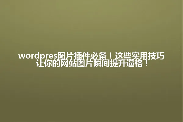 wordpres图片插件必备!这些实用技巧让你的网站图片瞬间提升逼格! 一