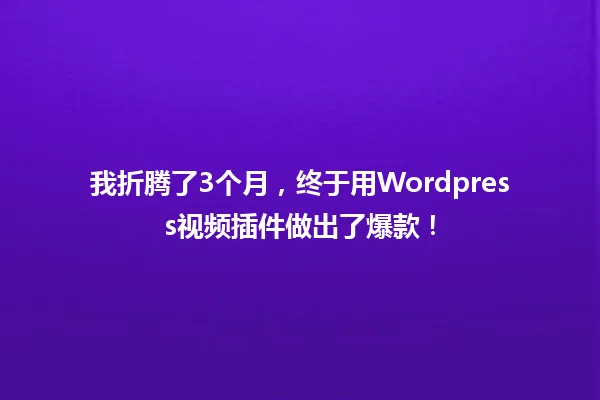 我折腾了3个月,终于用Wordpress视频插件做出了爆款! 一