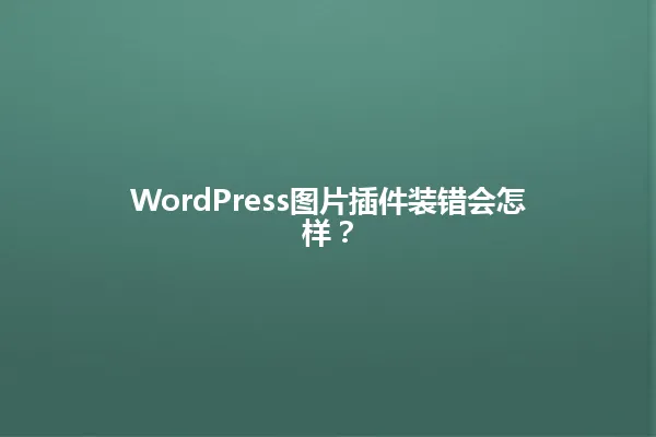 WordPress图片插件装错会怎样? 一