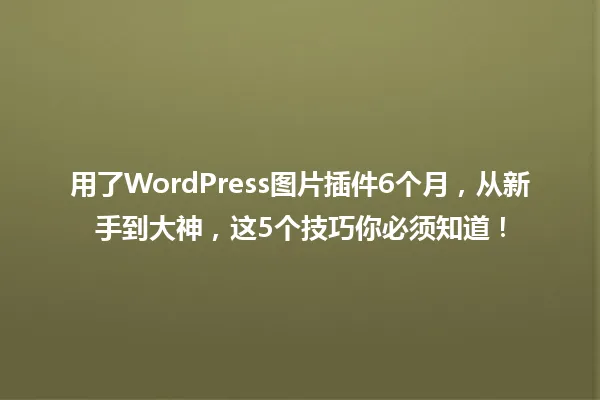 用了WordPress图片插件6个月,从新手到大神,这5个技巧你必须知道! 一