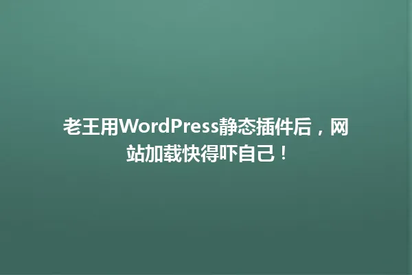 老王用WordPress静态插件后,网站加载快得吓自己! 一
