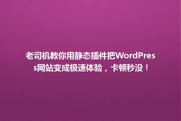 老司机教你用静态插件把WordPress网站变成极速体验,卡顿秒没! 一