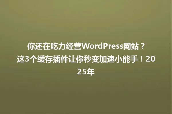 你还在吃力经营WordPress网站?这3个缓存插件让你秒变加速小能手!2025年 一