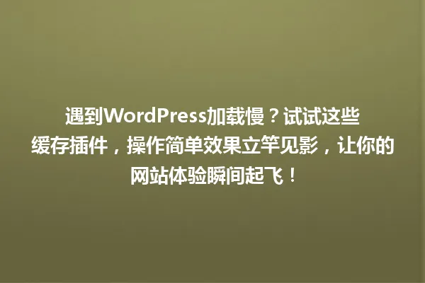 遇到WordPress加载慢?试试这些缓存插件,操作简单效果立竿见影,让你的网站体验瞬间起飞! 一