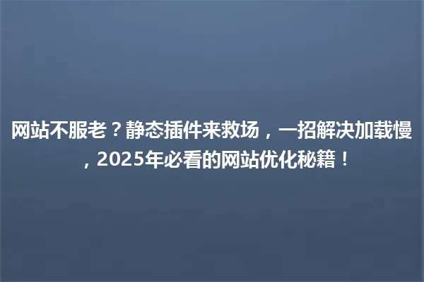 网站不服老?静态插件来救场,一招解决加载慢,2025年必看的网站优化秘籍! 一