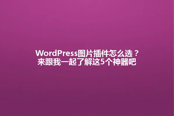 WordPress图片插件怎么选？来跟我一起了解这5个神器吧 一