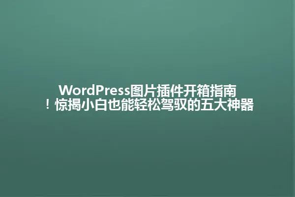 WordPress图片插件开箱指南!惊揭小白也能轻松驾驭的五大神器 一