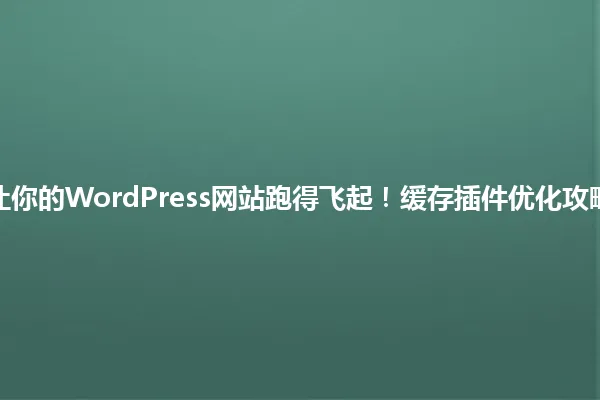 2025年,让你的WordPress网站跑得飞起!缓存插件优化攻略速来围观! 一