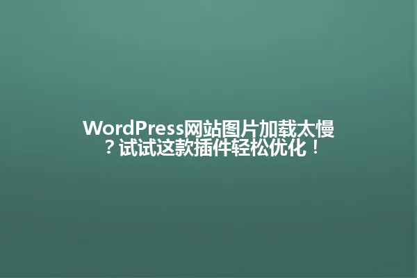 WordPress网站图片加载太慢?试试这款插件轻松优化! 一